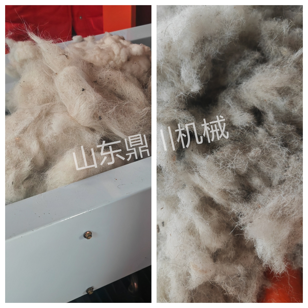 粗疏羊毛切断效果