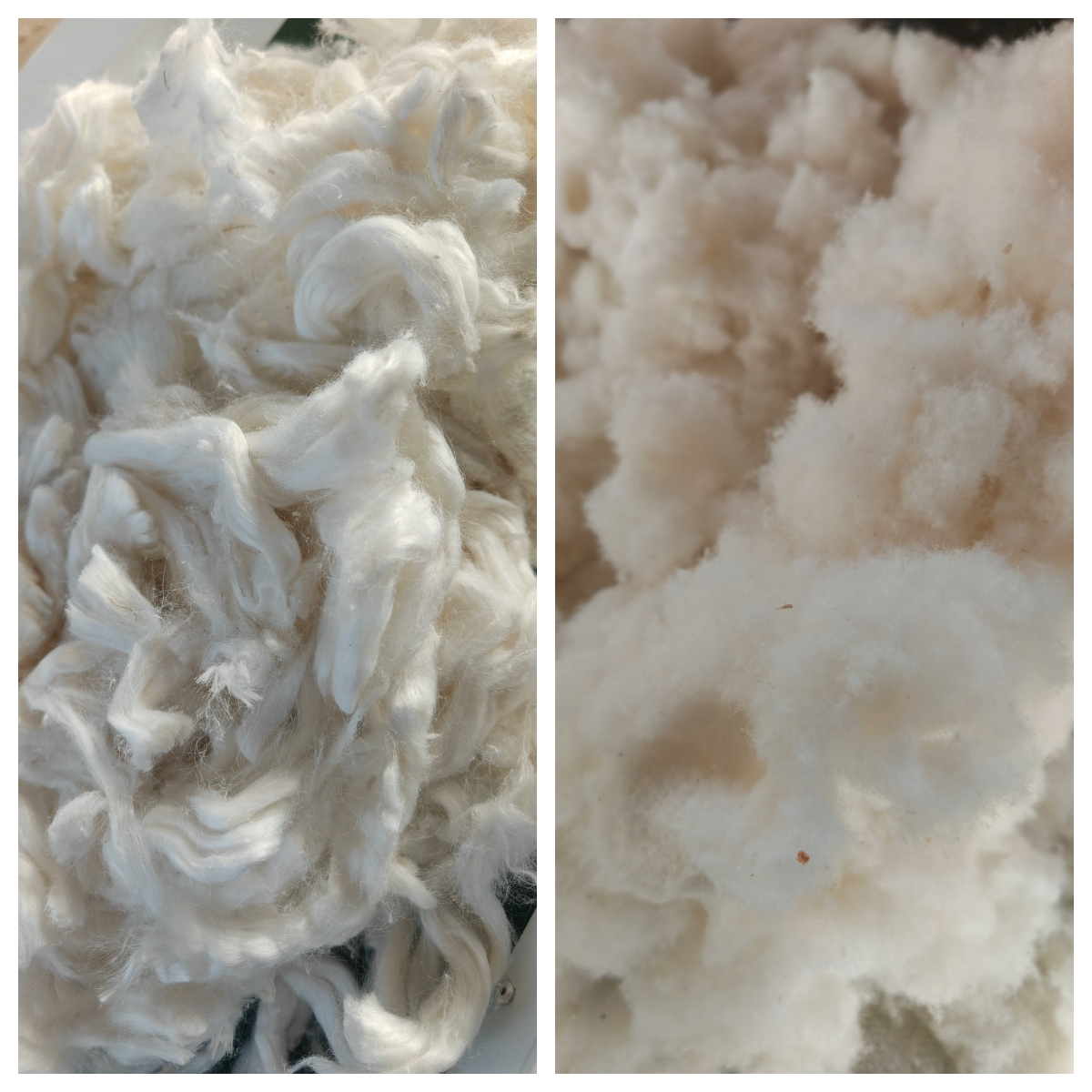 化纤棉条粉碎效果